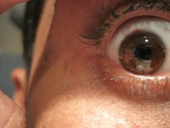 extreme closeup of left eye