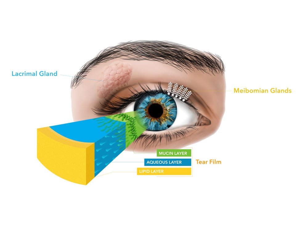 Tear film layers visual chart.