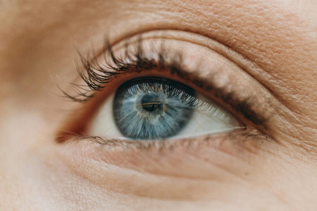 Macro close-up of a blue eye