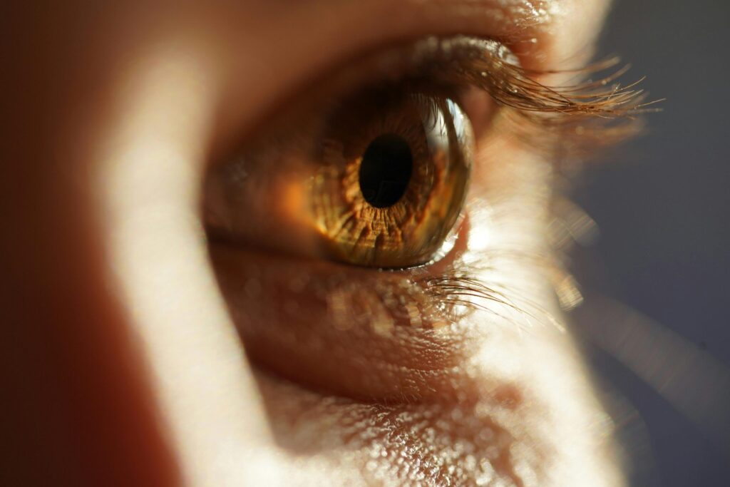 Side view of a brown eye in warm light