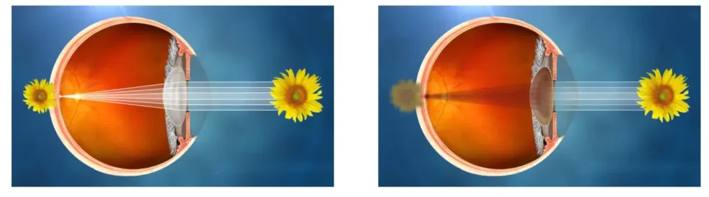 Informational graphic