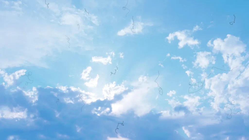 flashes floaters .jpeg