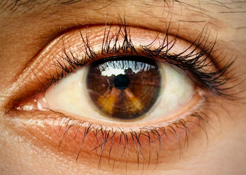 Close-up of a human eye with a brown iris