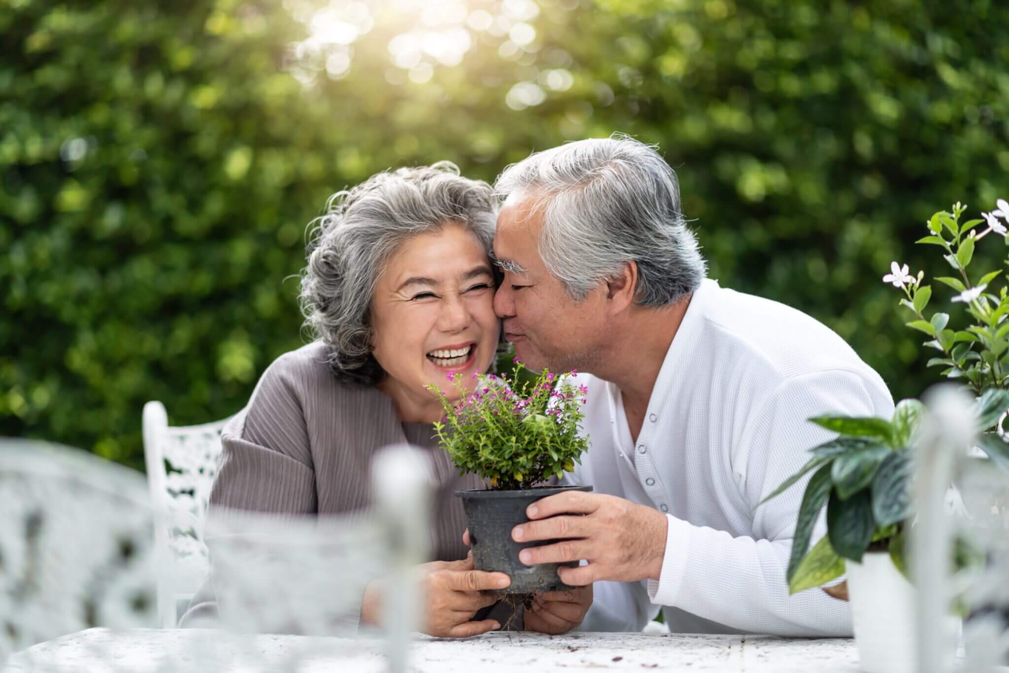 Senior man kissing wife cheek in wedding anniversary.